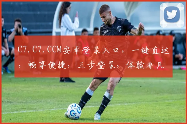 C7.C7.CCM安卓登录入口，一键直达，畅享便捷，三步登录，体验非凡，快人一步