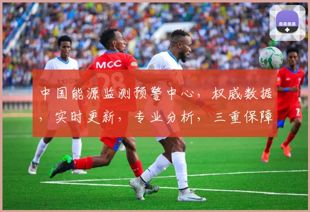 中国能源监测预警中心，权威数据，实时更新，专业分析，三重保障，助力能源管理。