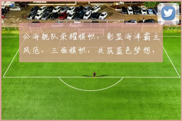 公海舰队荣耀旗帜，彰显海洋霸主风范，三面旗帜，共筑蓝色梦想，助力和平航行