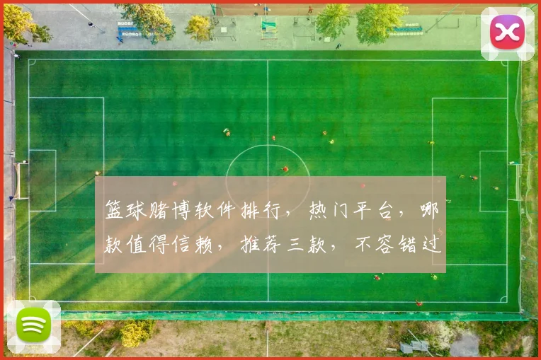 篮球赌博软件排行，热门平台，哪款值得信赖，推荐三款，不容错过