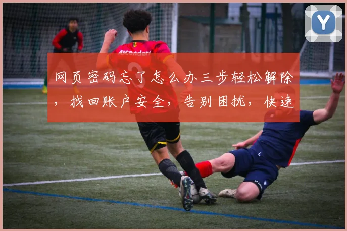 网页密码忘了怎么办三步轻松解除，找回账户安全，告别困扰，快速解决问题