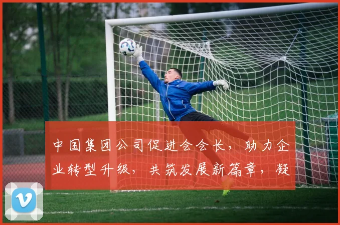 中国集团公司促进会会长，助力企业转型升级，共筑发展新篇章，凝聚力量，共赢未来