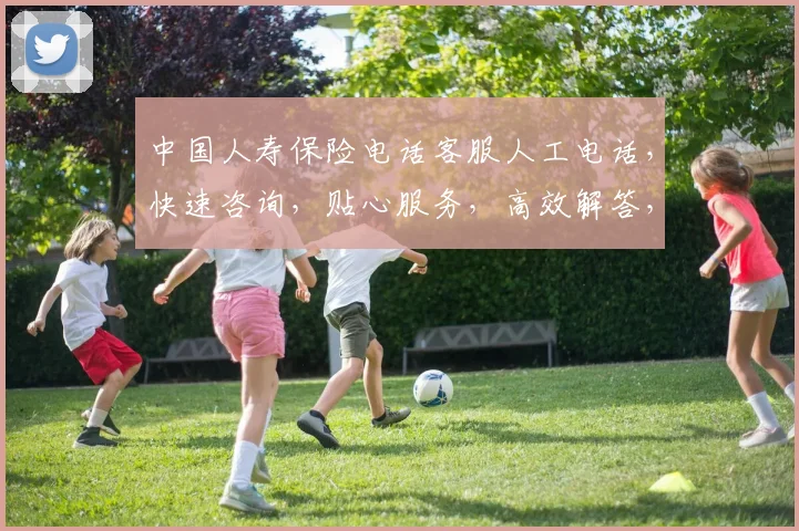 中国人寿保险电话客服人工电话，快速咨询，贴心服务，高效解答，三分钟内接通